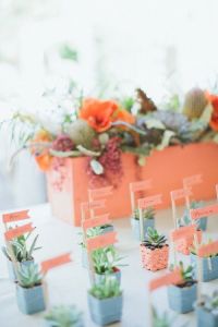 Beautiful Succulent Place cards
