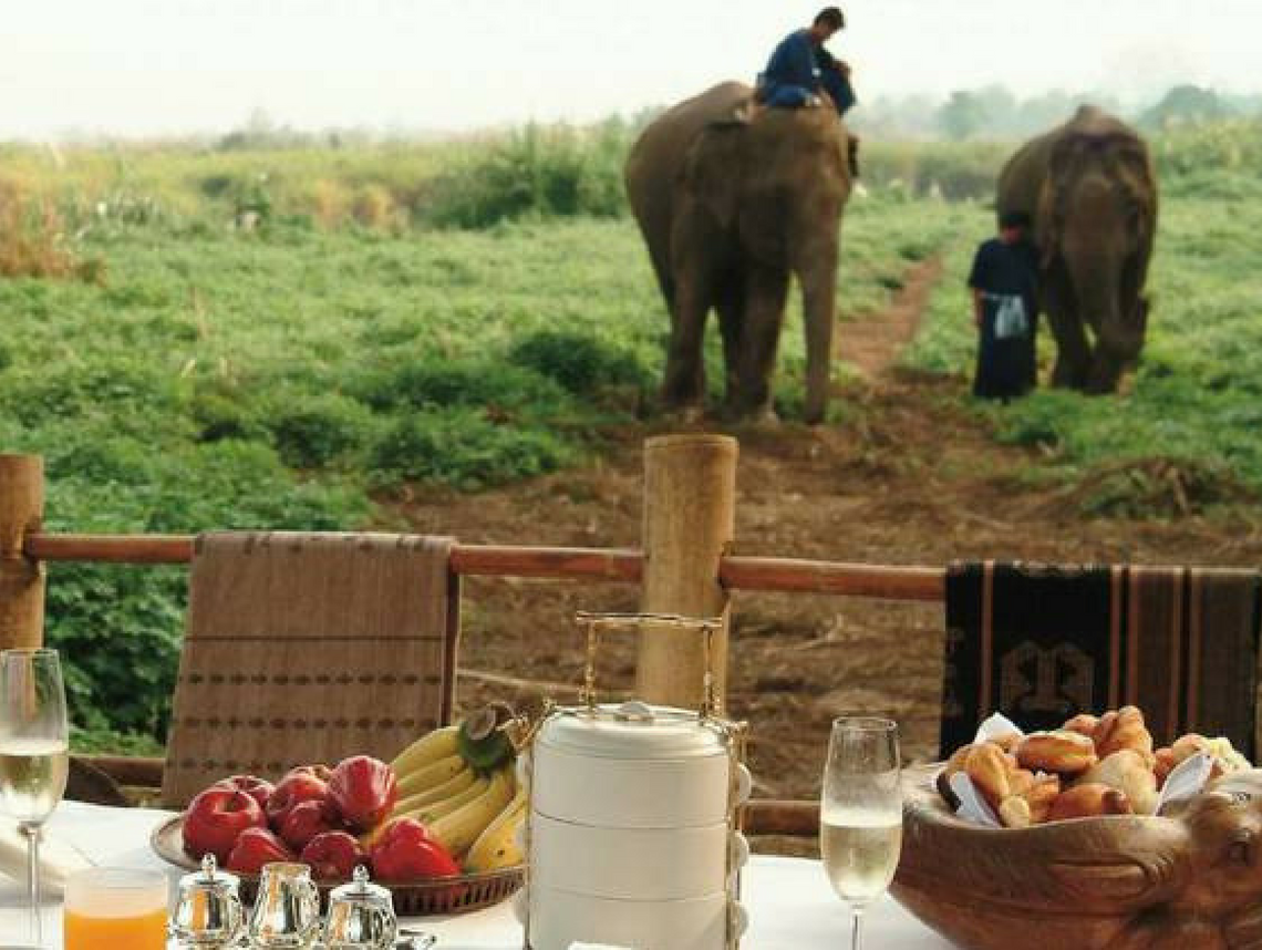 JJ pic sizes sharon blog 4