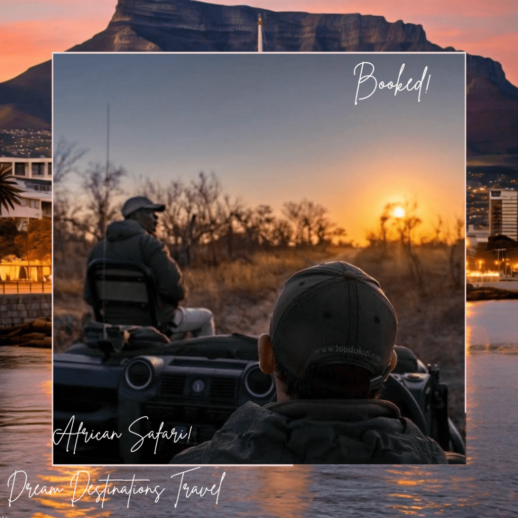 Booked safari