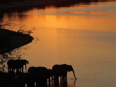 Top Destinations for Rejuvenating Slow Travel&nbsp;Experiences.
